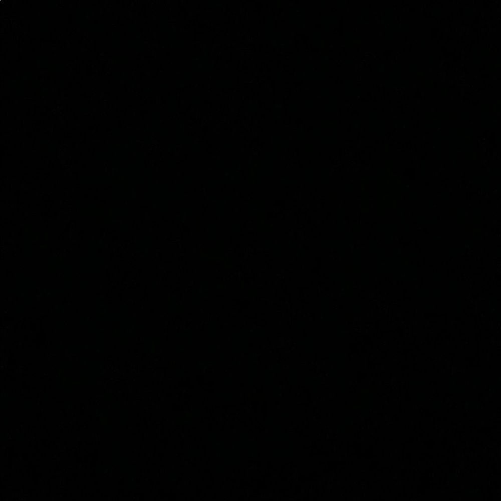 Meet your Posher, Madi